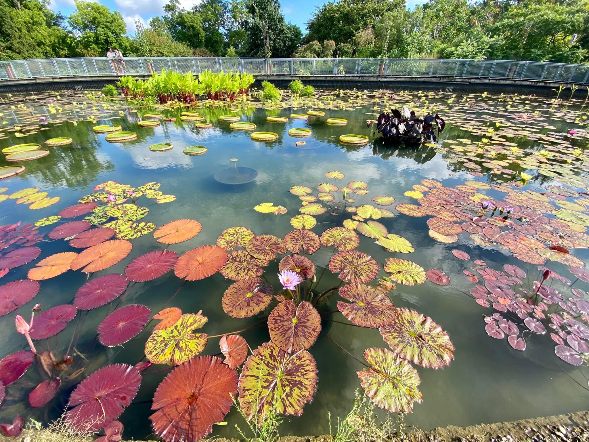 Garfield Park Conservatory